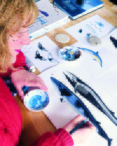 Author photo: Delaunay, Amandine