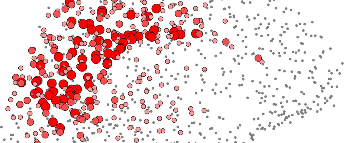 mb13 das gehirn in der menopause brain core model c liza gross via wikicommons kopie