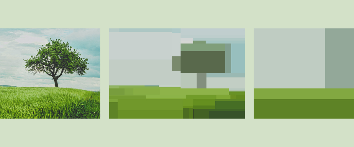 nt4 was kann ki c rens dimmendaal & johann siemens via wikicommons kopie